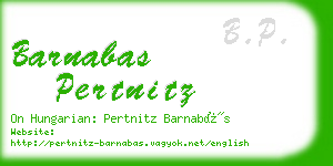 barnabas pertnitz business card